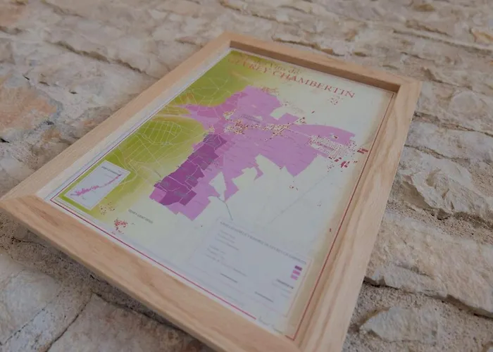 L\'Angevin - Gevrey-Chambertin